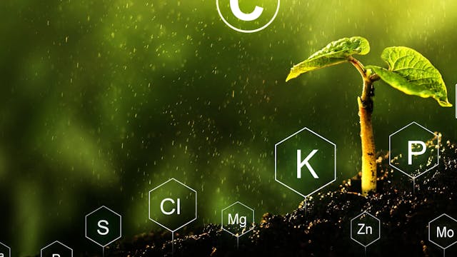 Essential Plant Micronutrients | Agro...