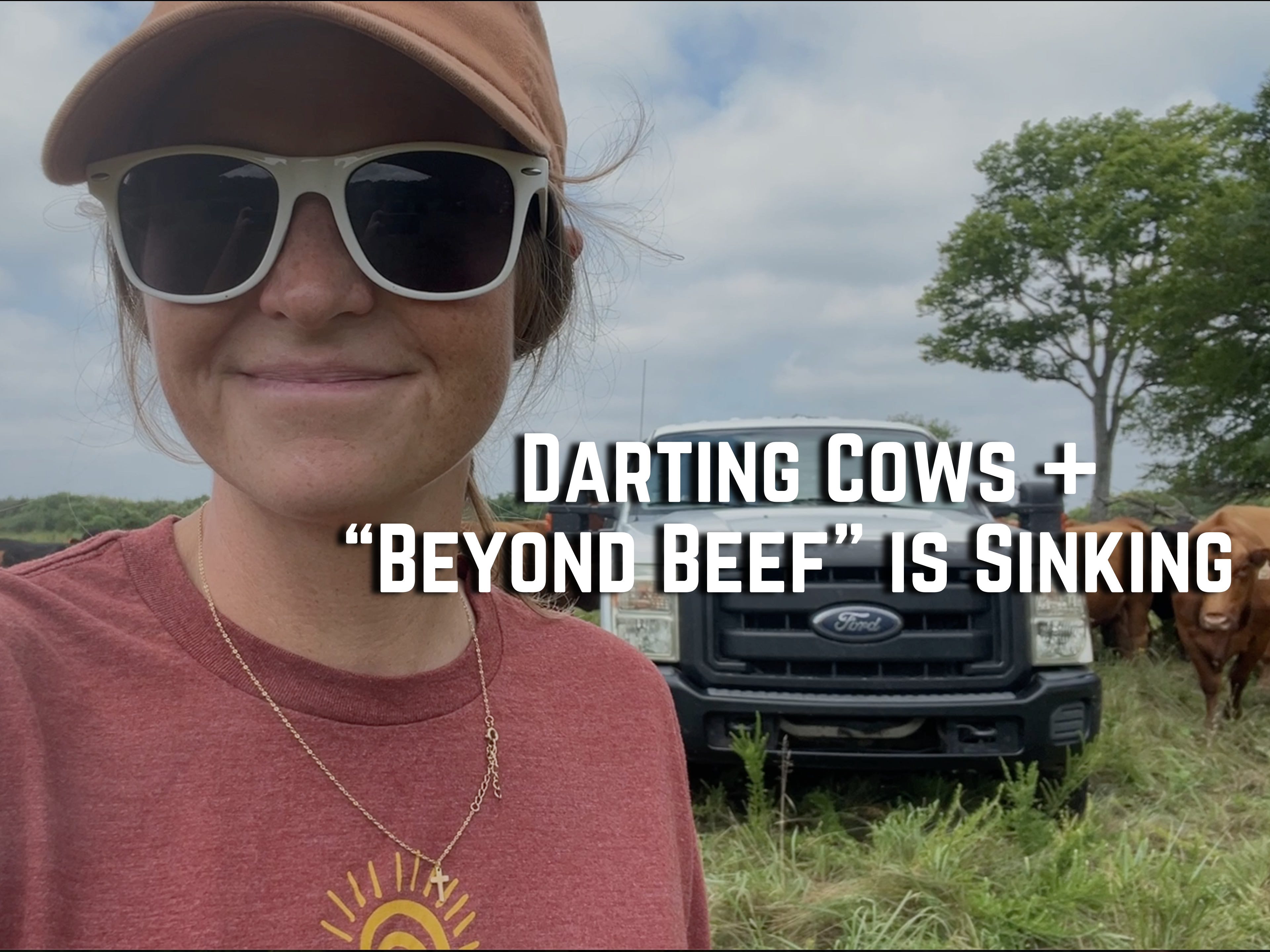 Darting Cows + Beyond Beef is Sinking | Buzzard's Beat