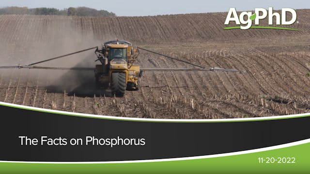 The Facts on Phosphorus | Ag PhD
