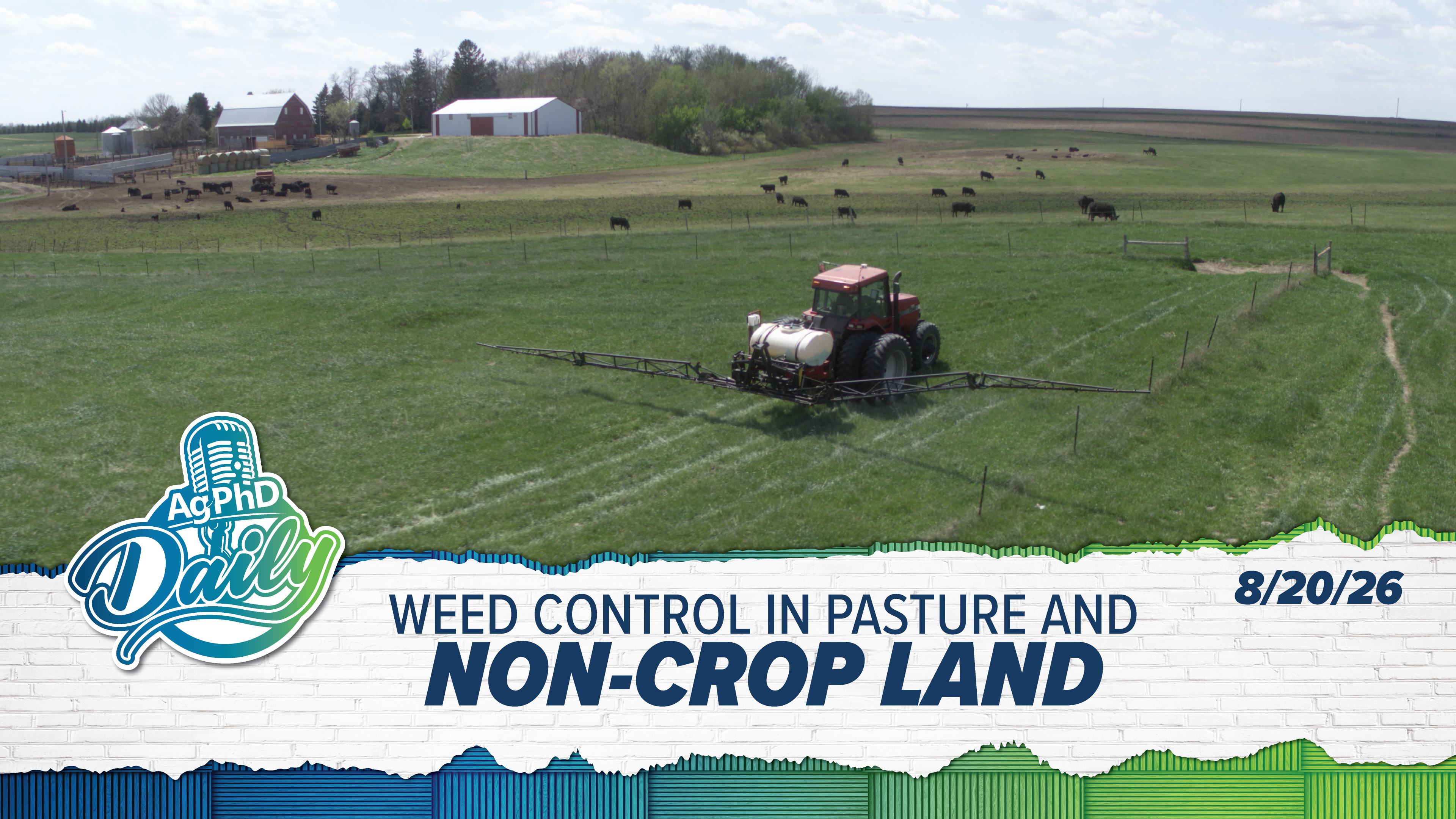 Weed Control In Pasture and Non-Crop Land | Ag PhD Daily | 08/20/26