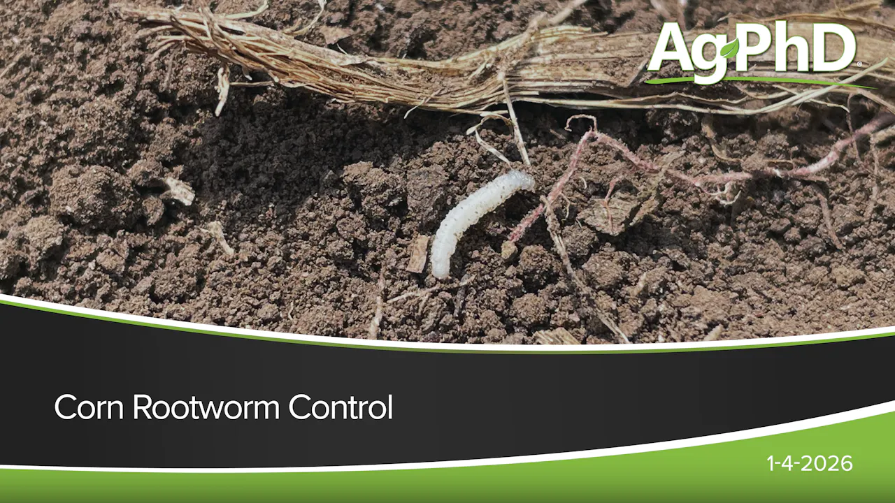 Corn Rootworm Control | Ag PhD - 2026 - AcresTV