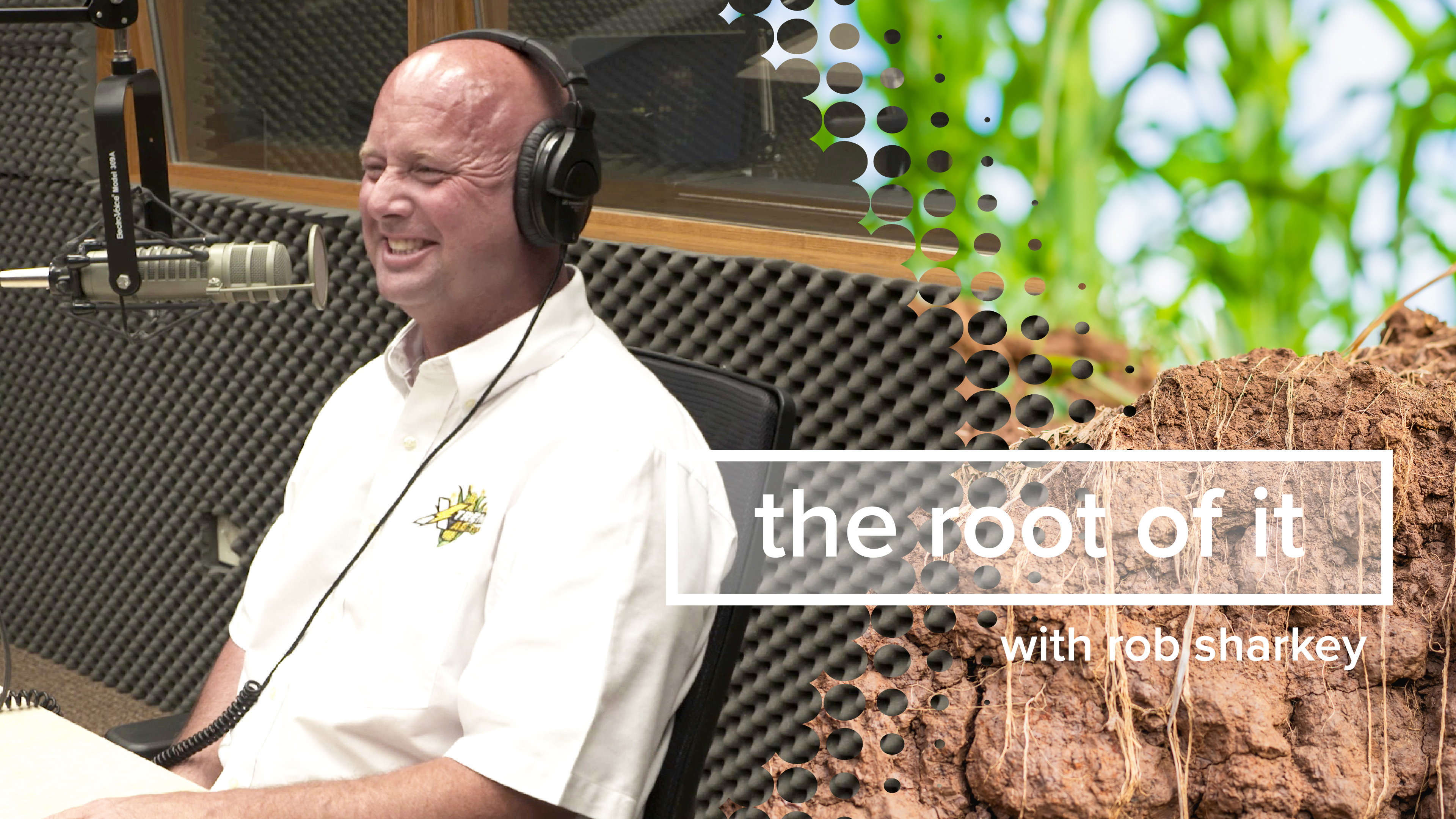 Kelly Garrett | The Root of It