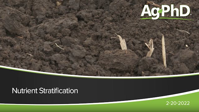 Nutrient Stratification | Ag PhD