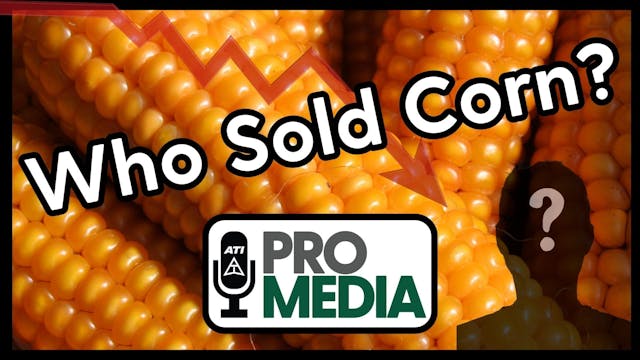 Who Sold Corn? | ATI ProMedia 01/16/2025