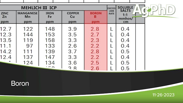 Boron | Ag PhD