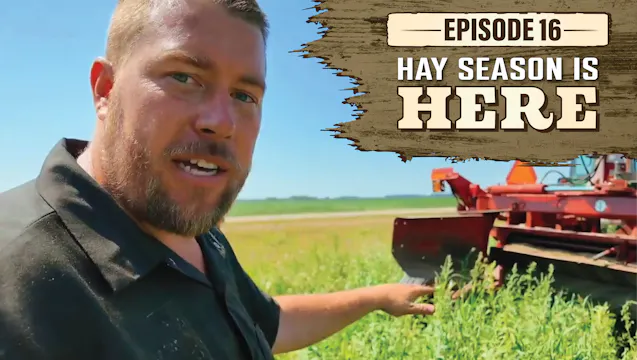 Mowing Hay the New Holland Way | Nort...
