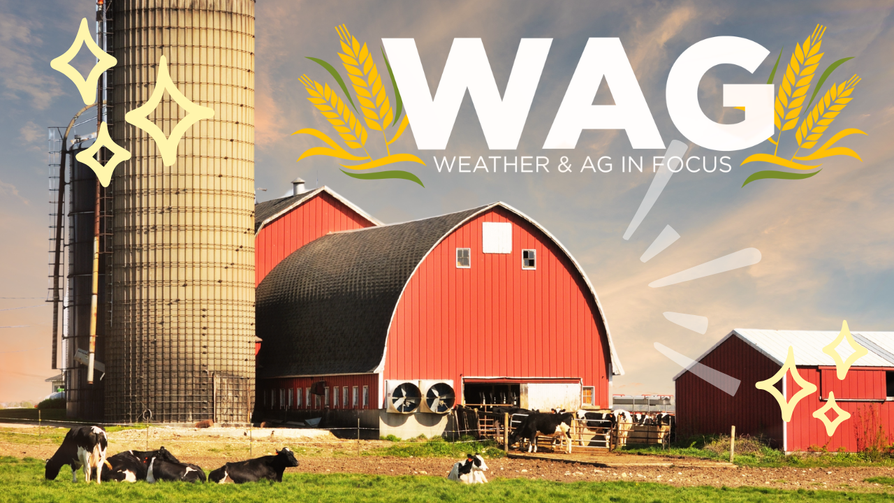 Wednesday Weather Trivia | WAG in Focus 09-02-26