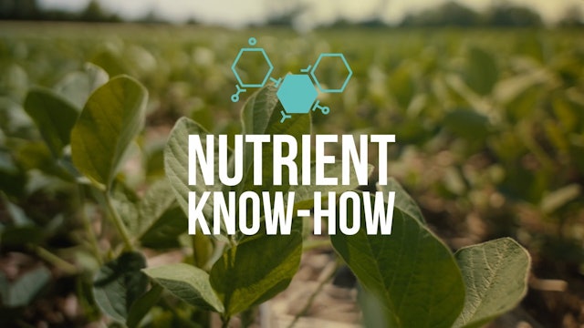 Nutrient Know-How: Hard to Pronounce, Molybdenum Has a Vital Role | XtremeAg
