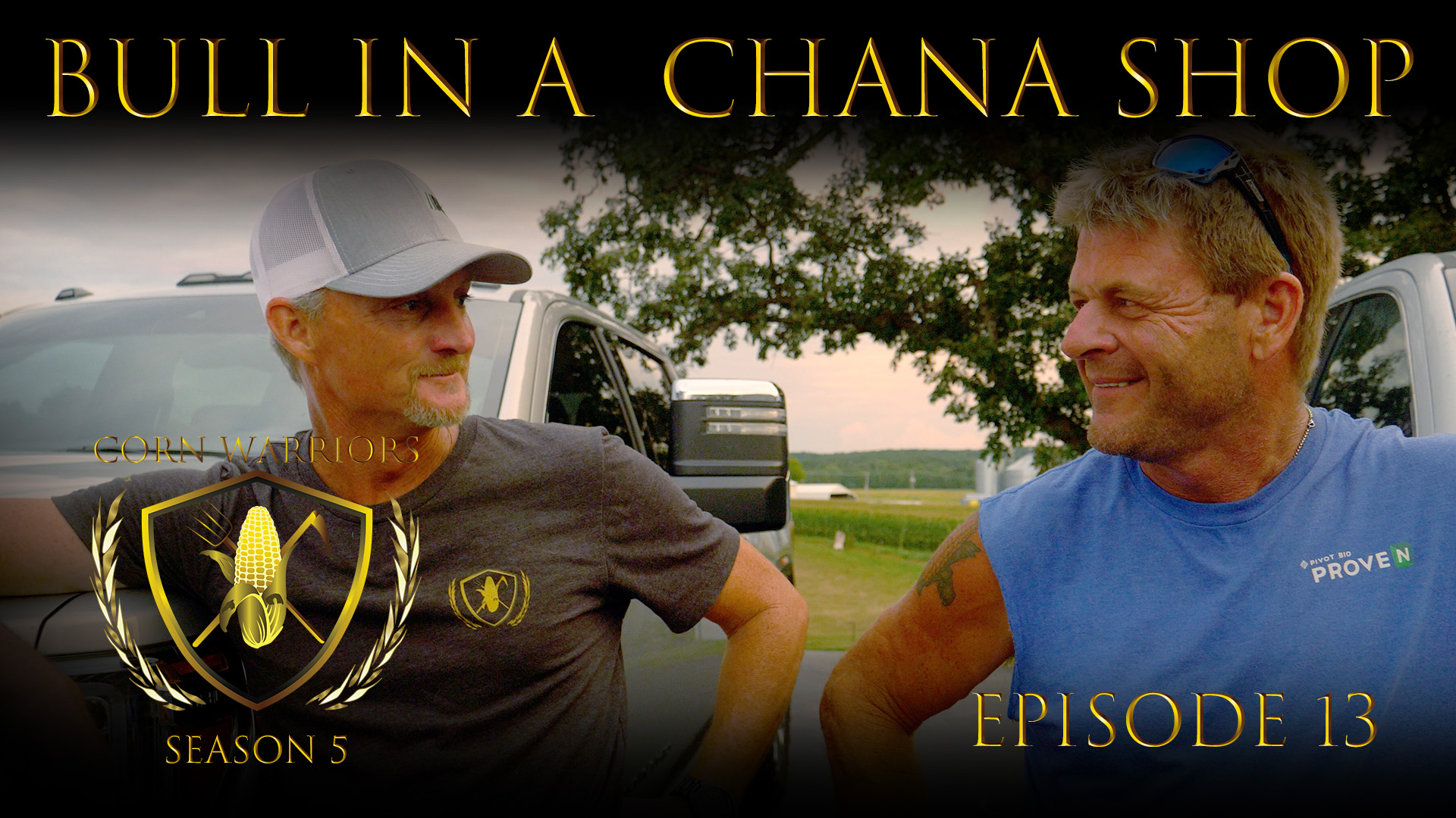 Corn Warriors | 513 | Bull in a Chana Shop