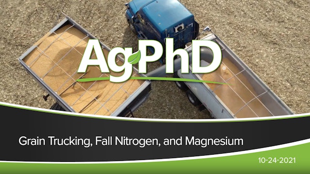 Grain Trucking, Fall Nitrogen, and Magnesium | Ag PhD