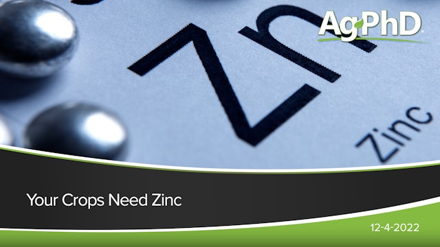 Your Crops Need Zinc