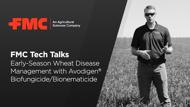 Early-Season Wheat Disease Management...