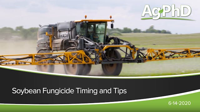 Soybean Fungicide Timing and Tips | A...
