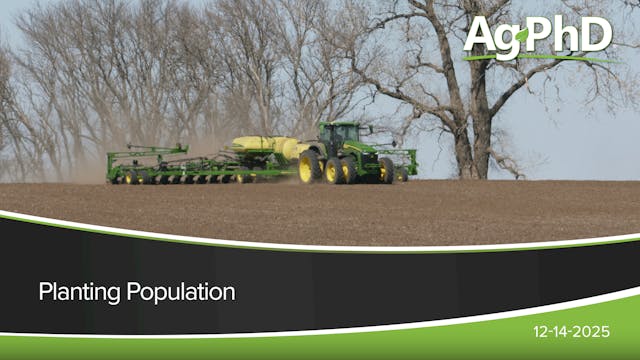 Planting Population | Ag PhD