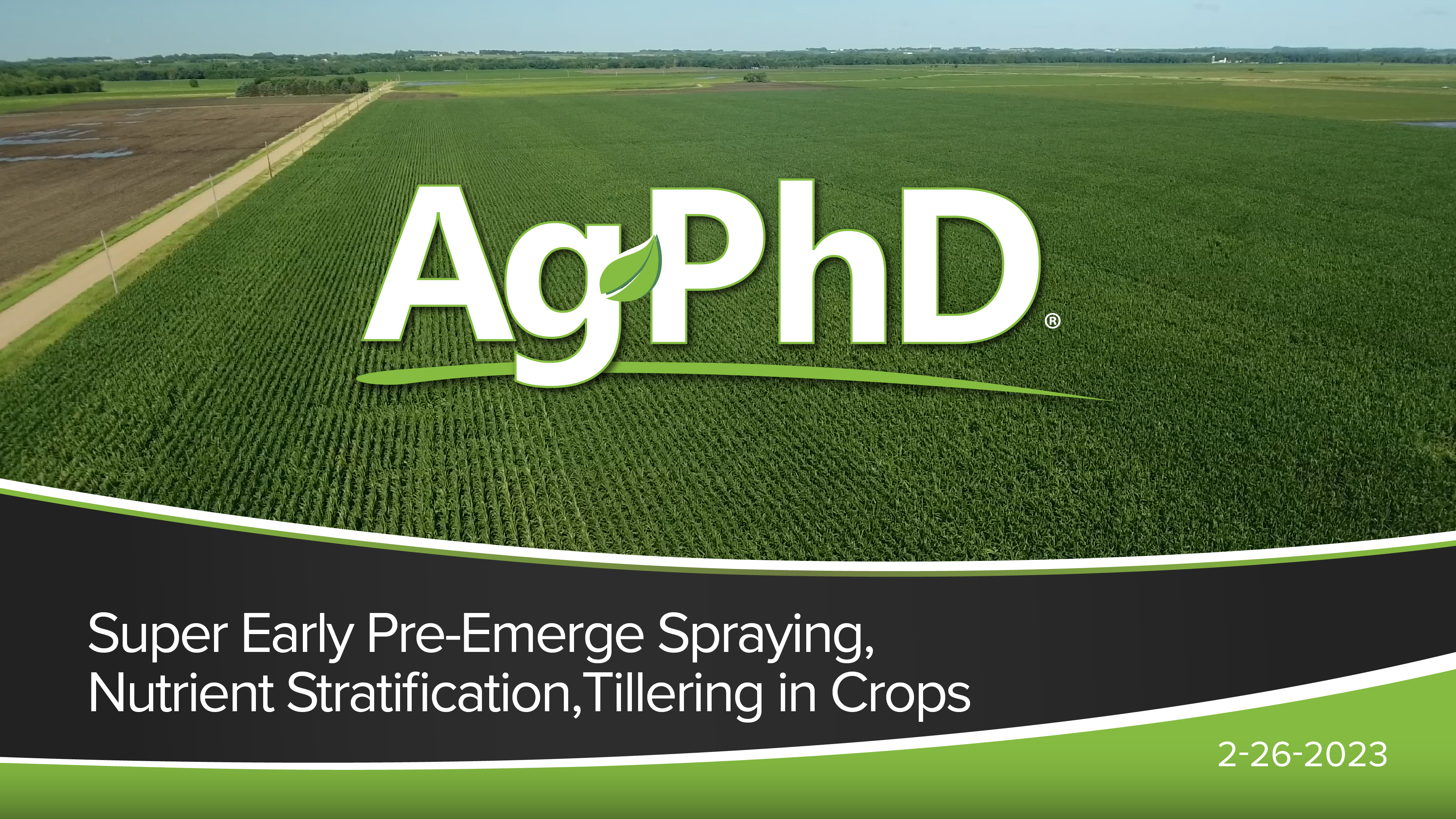 Early Pre-Emerge Spraying, Nutrient Stratification & Tillering in Crops | Ag PhD