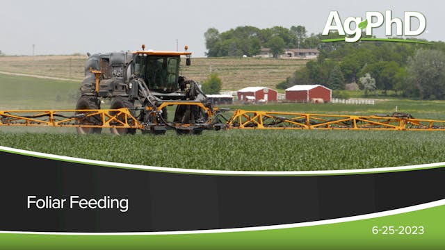 Foliar Feeding | Ag PhD