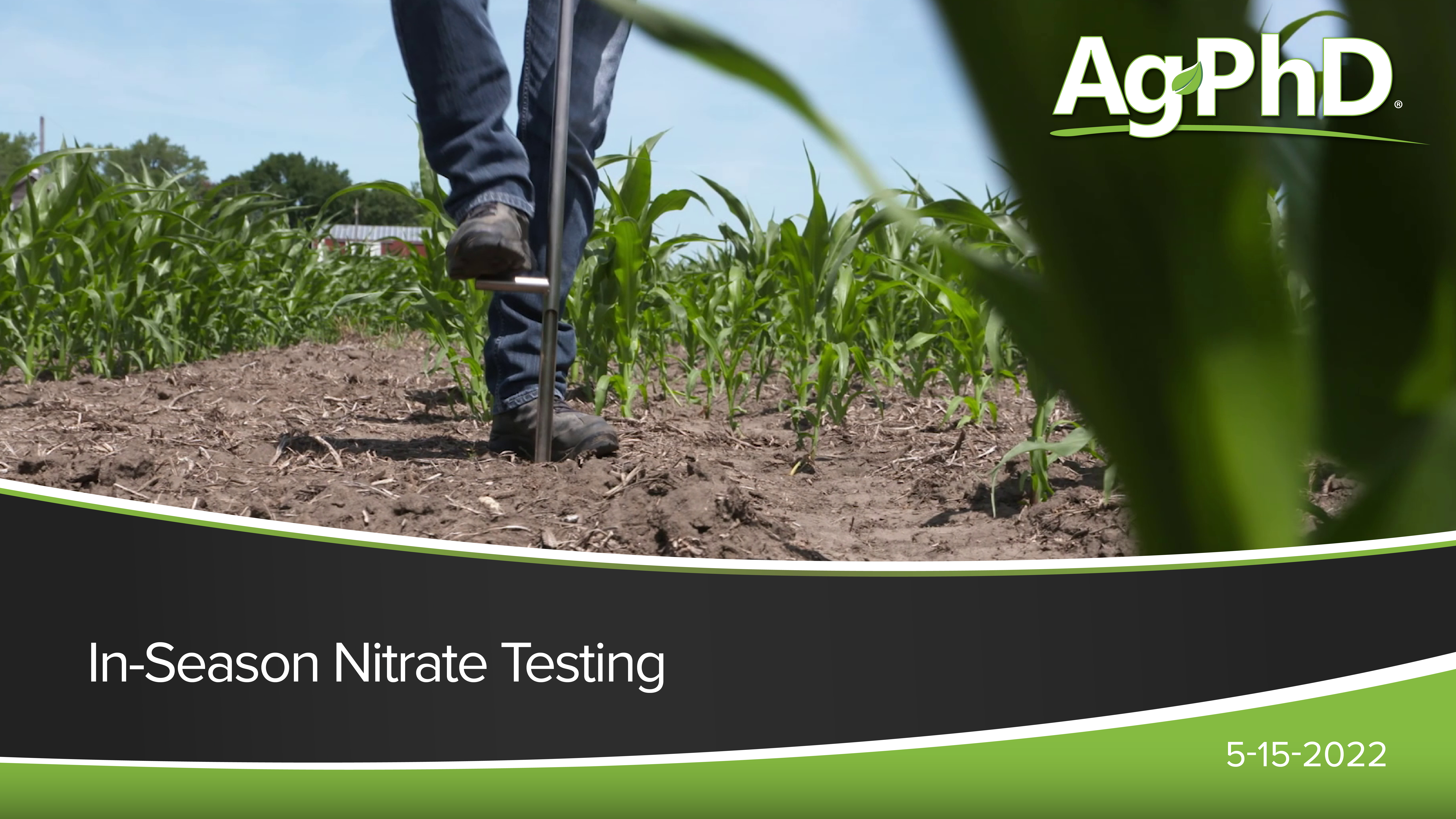 In-Season Nitrate Testing | Ag PhD