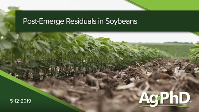 Post Emerge Residuals in Soybeans | A...