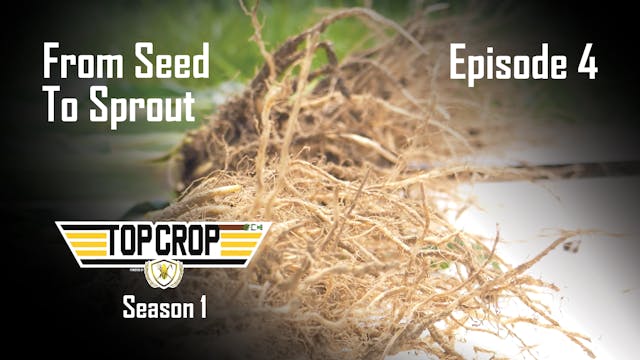 From Seed To Sprout | Top Crop