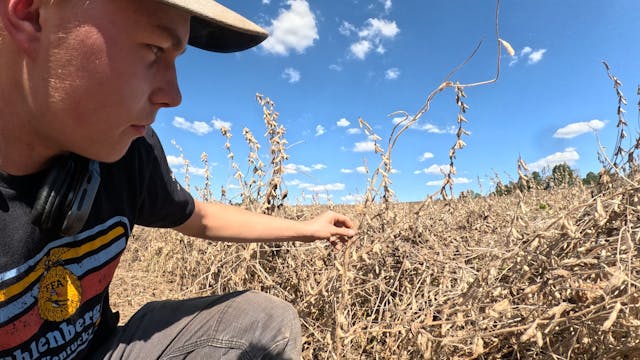 The Worst Bean Season Ever – Here's W...