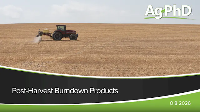 Post-Harvest Burndown Products | Ag PhD