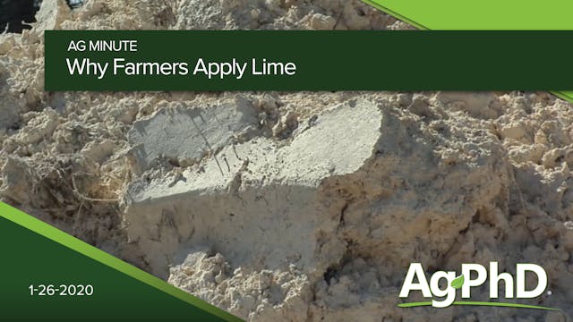 Why Farmers Apply Lime