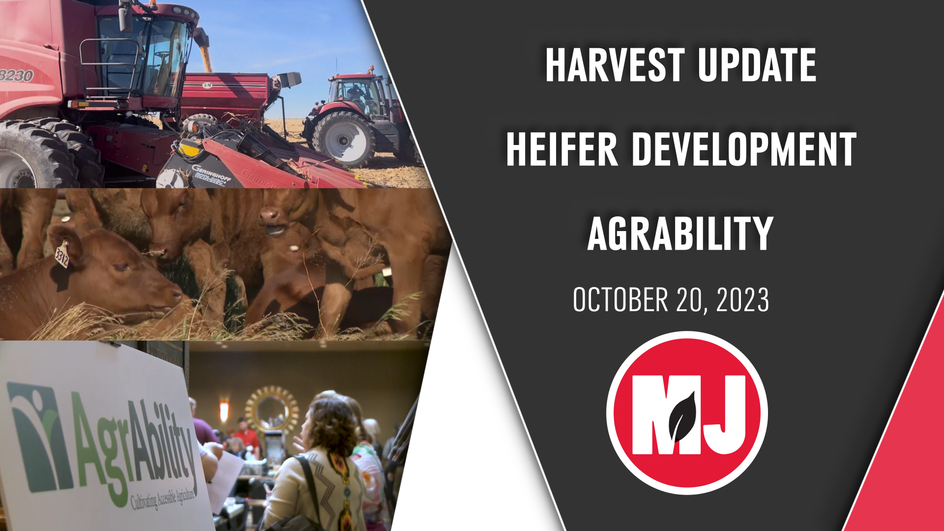 October 20, 2023 | Market Journal