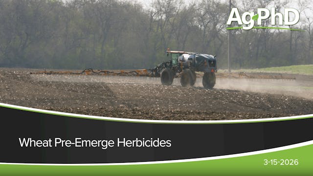 Wheat Pre-Emerge Herbicides | Ag PhD