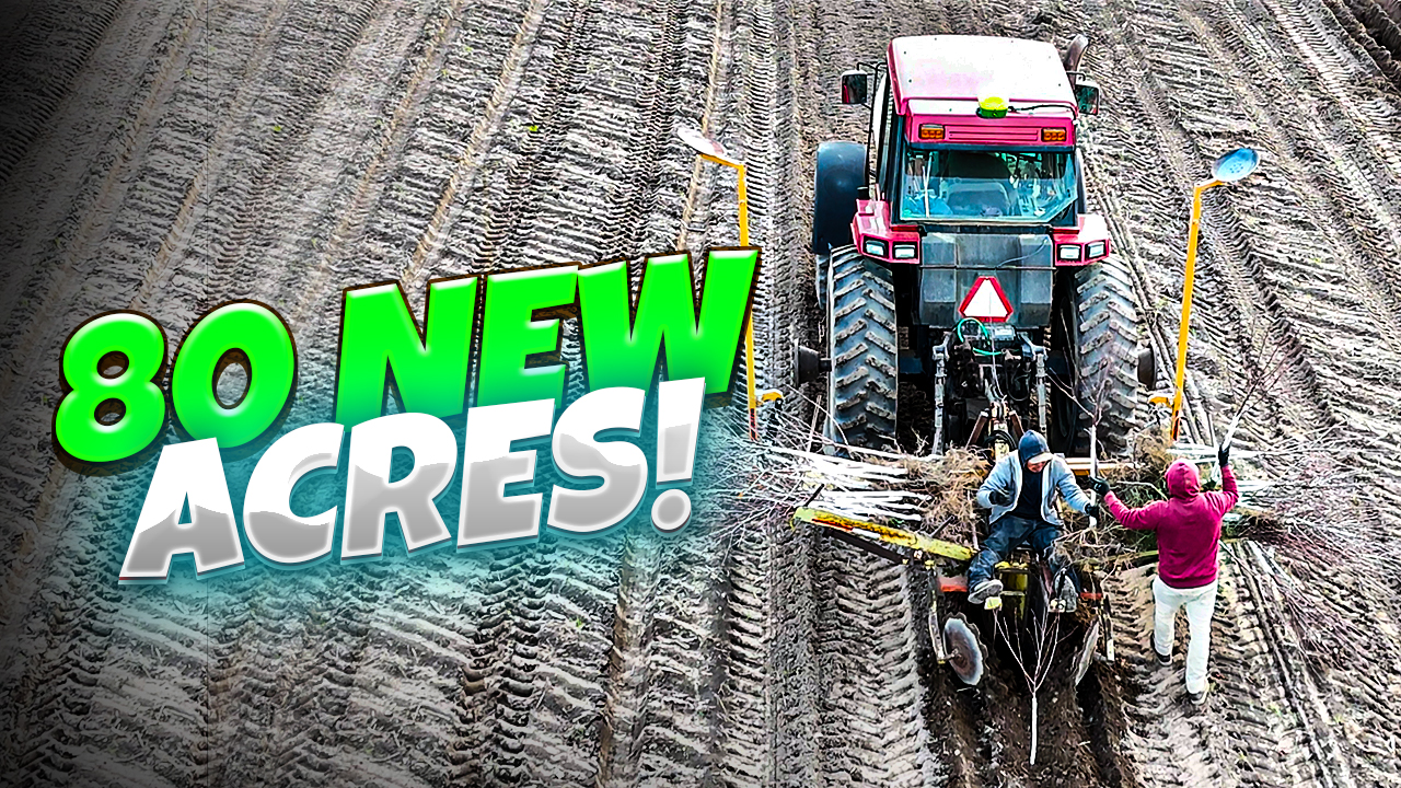 Are We CRAZY For Planting 80 MORE Acres Of This? | Pomes and Stones