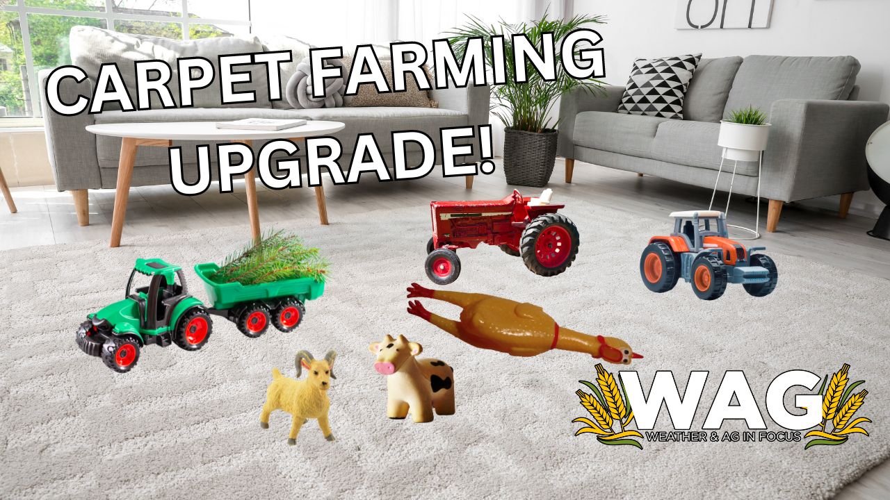 Carpet Farming Upgrade! | WAG in Focus 3/4/24