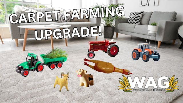 Carpet Farming Upgrade! | WAG in Focu...