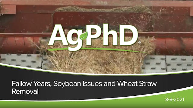Fallow Years, Soybean Issues, Wheat S...