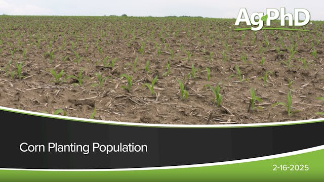 Corn Planting Population | Ag PhD