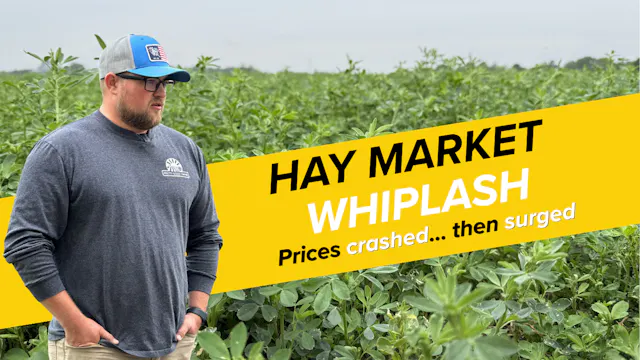 Why Alfalfa Demand Is Surging Across ...
