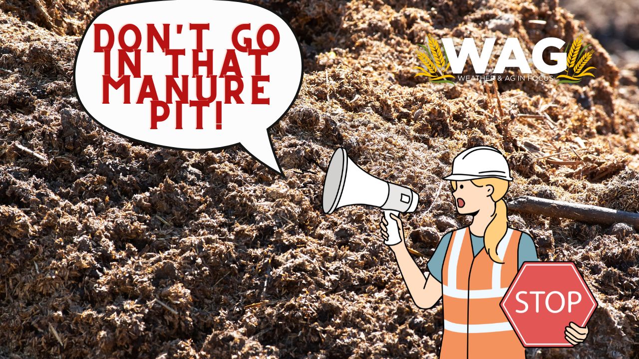 LIVE - Don't Go in That Manure Pit! WAG In Focus 9/6/23