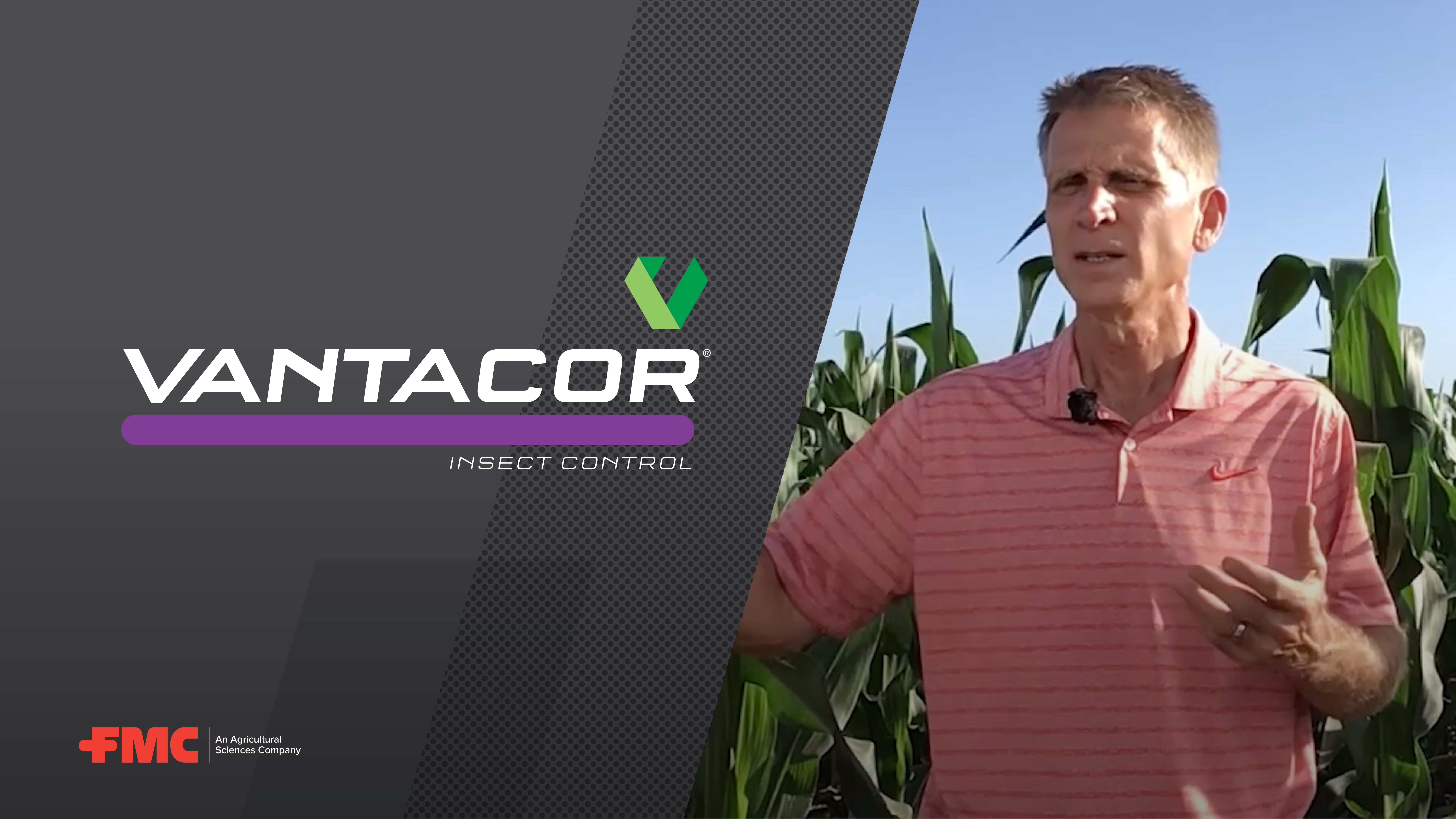 Emerging Pest Update with FMC: Western Bean Cutworm