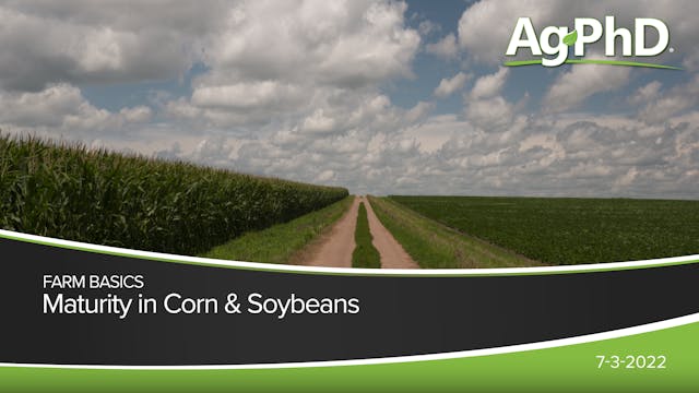 Maturity in Corn & Soybeans
