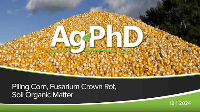 Piling Corn, Fusarium Crown Rot, Soil...