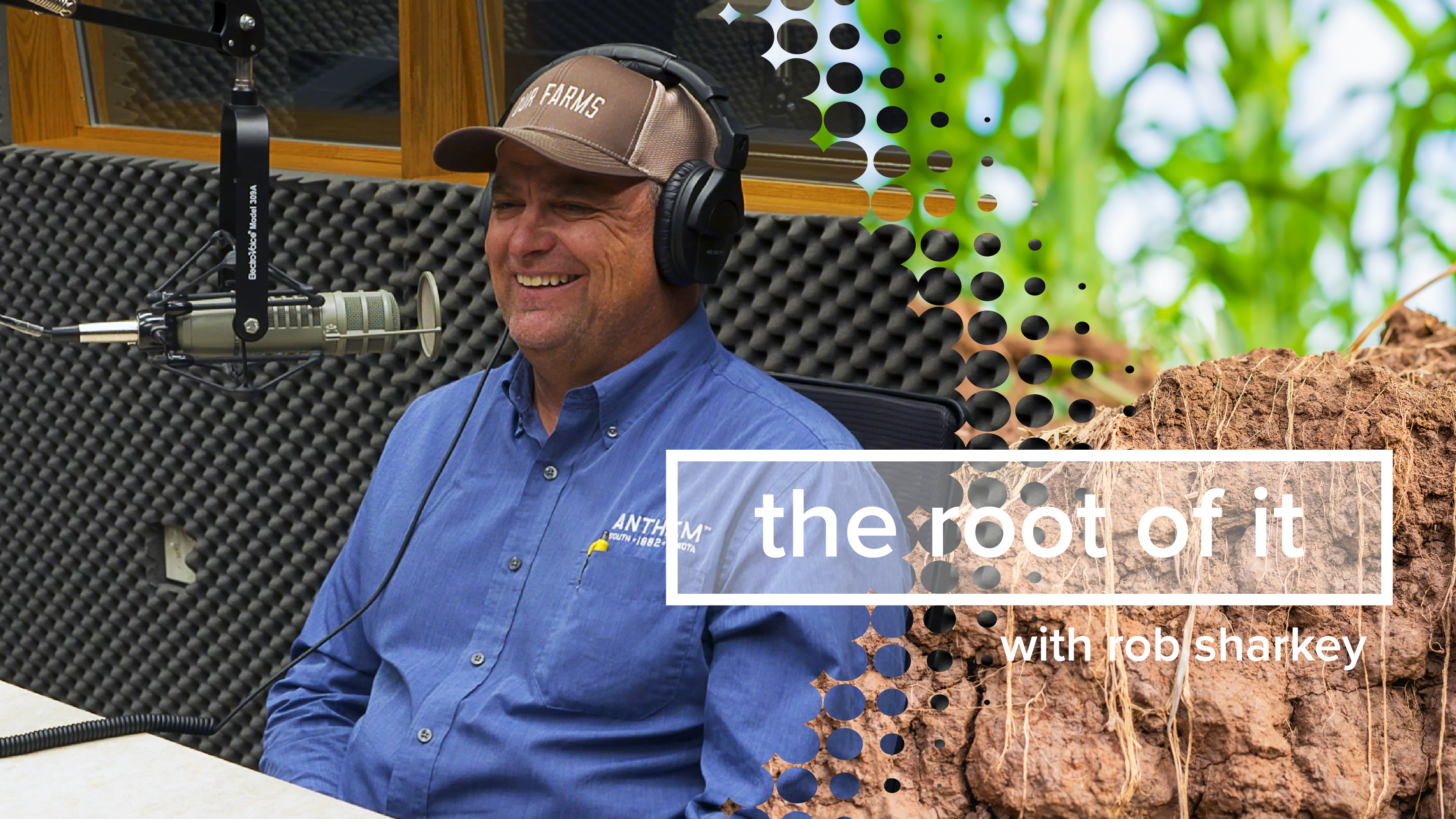 Taylor Sumption | The Root of It