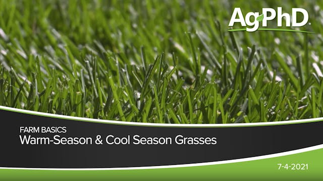 Warm-Season & Cool-Season Grasses