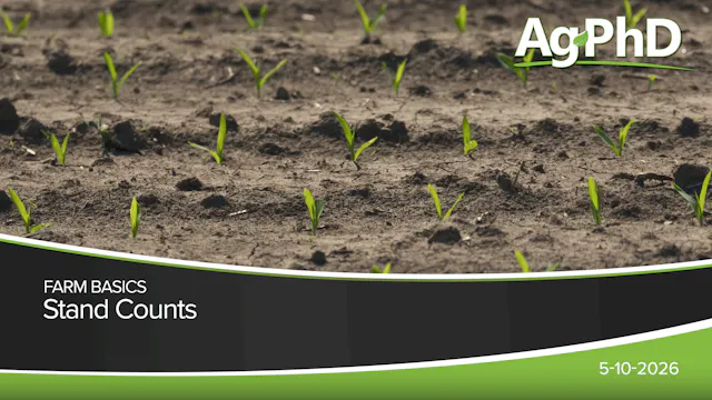 Stand Counts | Ag PhD