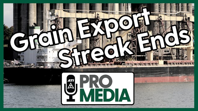 Grain Export Streak Ends | ATI ProMed...