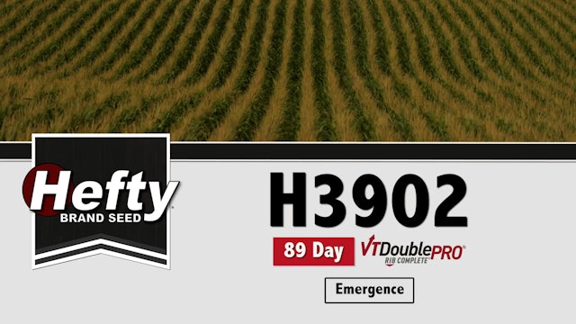 H3902 | 89-Day | VT2P