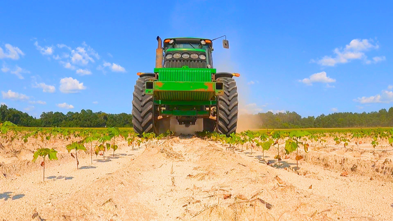 It's Hot And Dry (How Quickly Things Change) | Field Rows