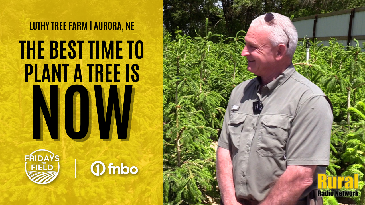 “The best time to plant a tree is now” | Fridays in the Field