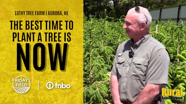 “The best time to plant a tree is now...