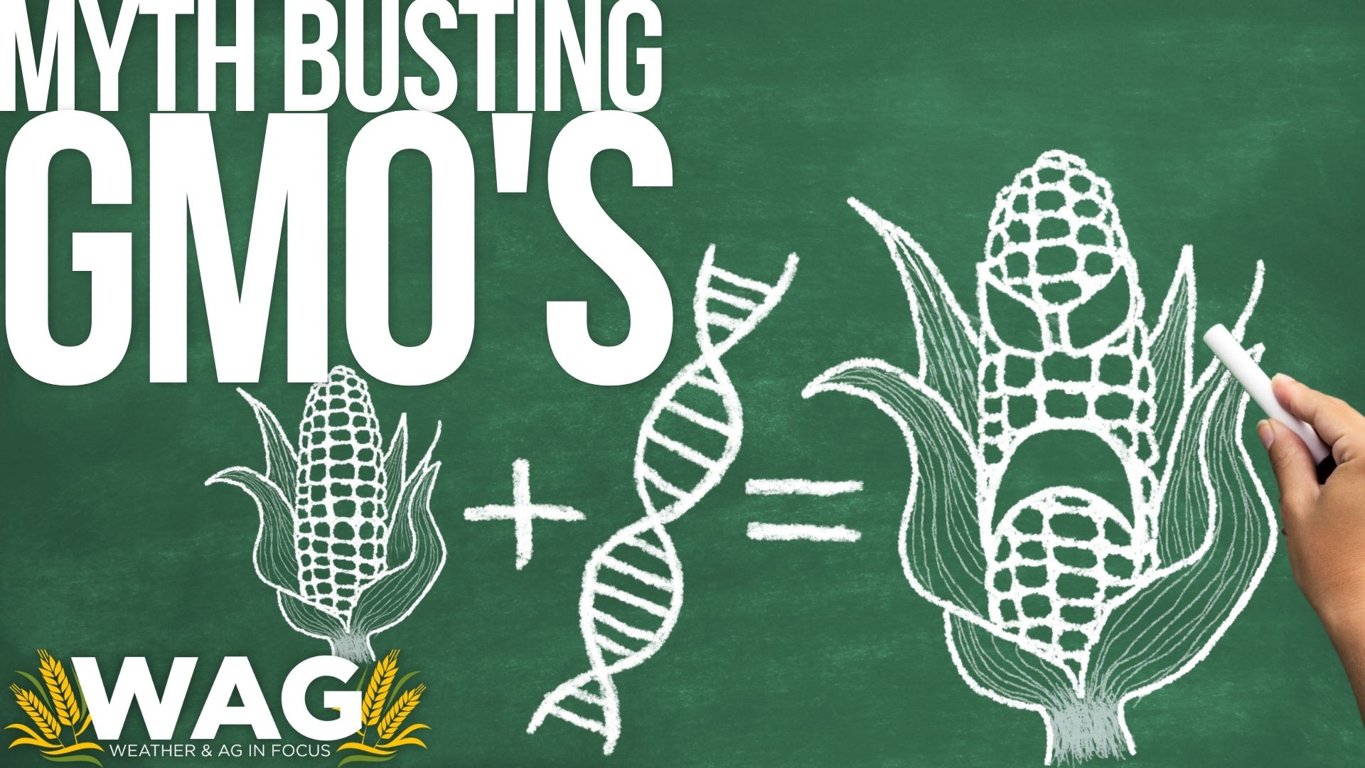 National Corn Growers Association: Myth busting GMOs 12-5-22 WAG In Focus 