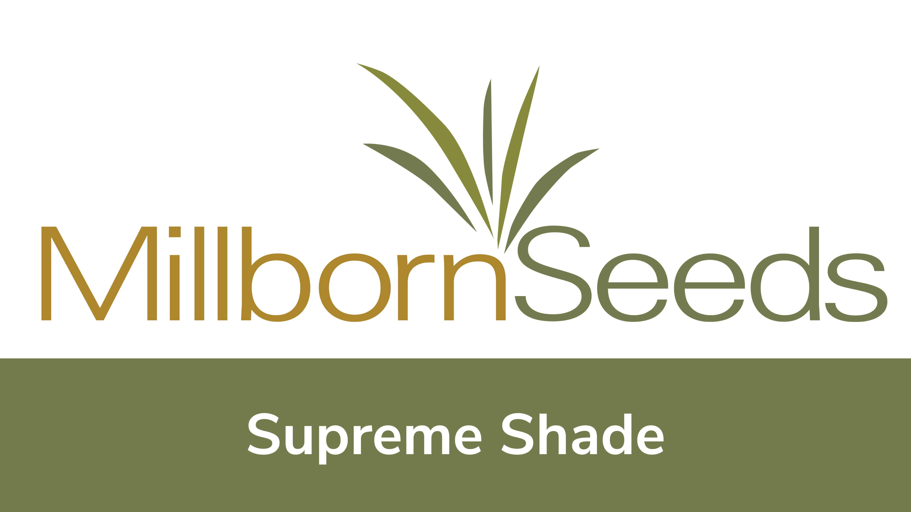 Millborn Seeds - Supreme Shade
