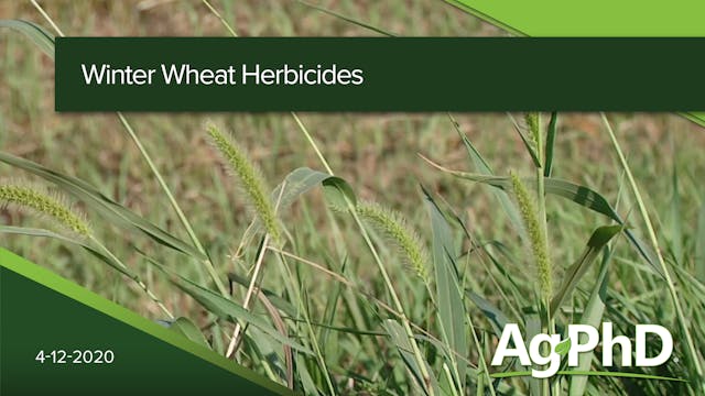 Winter Wheat Herbicides | Ag PhD