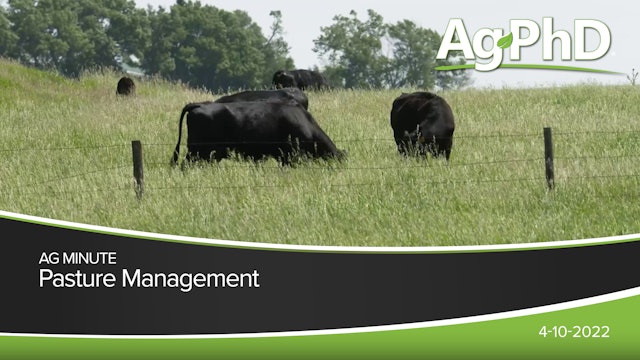 Pasture Management | Ag PhD